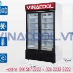 tủ đông lạnh thực phẩm 2 cánh kính Vinacool SLD-1240F