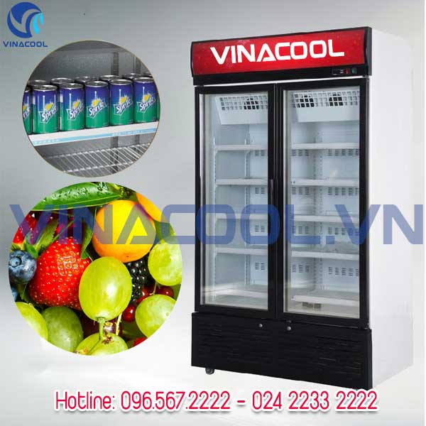 tủ trưng bày thực phẩm đông lạnh vinacool SLD-1240F
