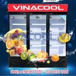 tủ đông lạnh thực phẩm Vinacool 3 cánh kính SLD-1480F