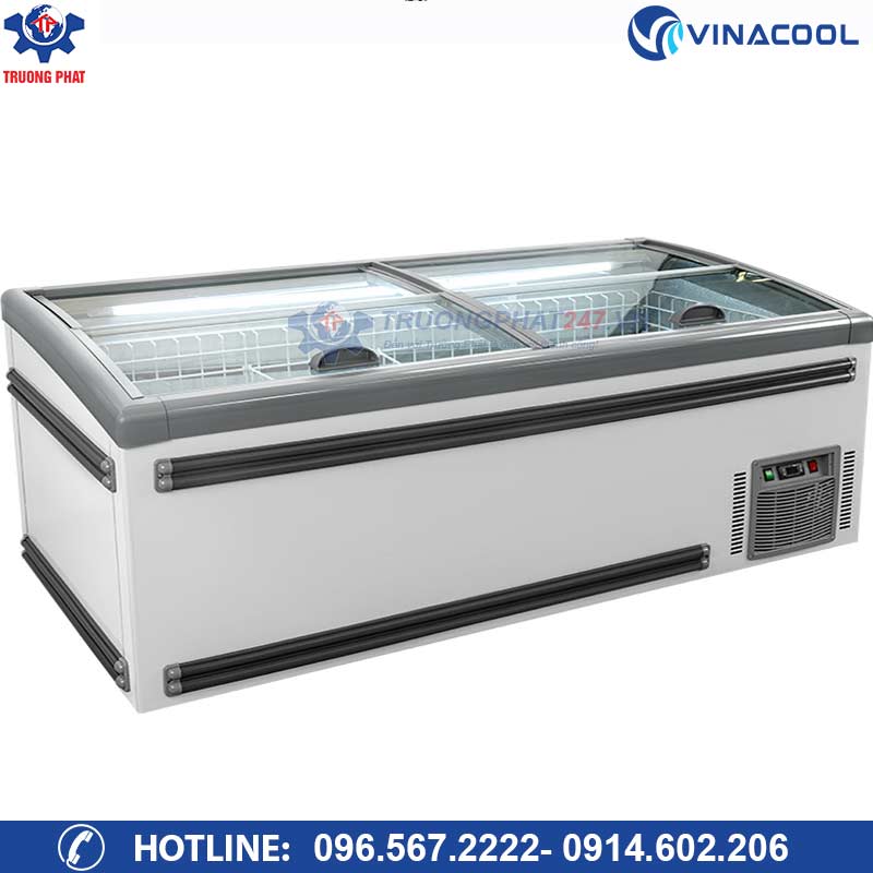 Tủ đông lạnh mặt kính cong WD4-1008- Giá rẻ nhập khẩu nguyên chiếc